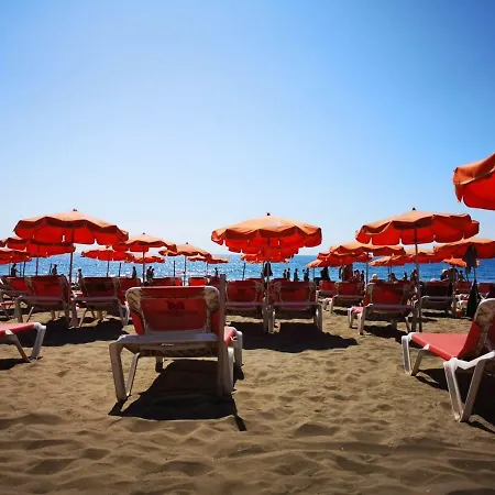 Elefantes Daire Playa del Ingles (Gran Canaria)